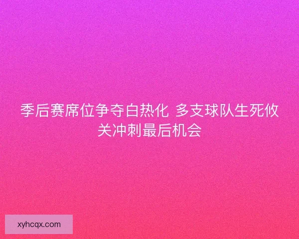 季后赛席位争夺白热化 多支球队生死攸关冲刺最后机会