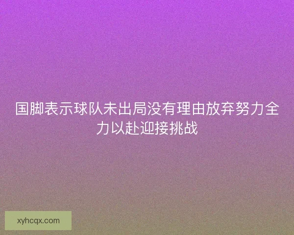 国脚表示球队未出局没有理由放弃努力全力以赴迎接挑战