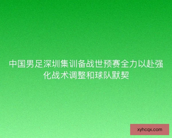中国男足深圳集训备战世预赛全力以赴强化战术调整和球队默契